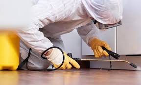 Real Estate Pest Inspections in North Wales, PA